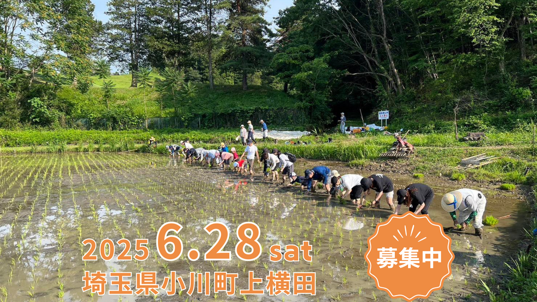 自然満喫!田植え体験・日本農業遺産・羽釜ご飯・ホタル鑑賞ツアー in小川町