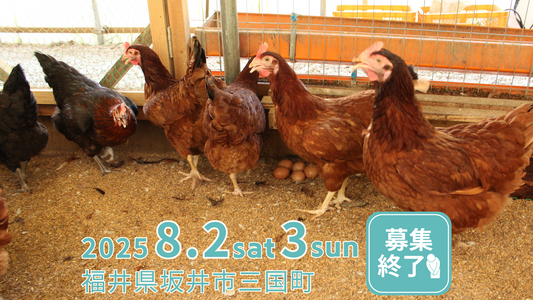 親子体験!命とふれあう「平飼いたまご🥚採卵体験ツアー」開催