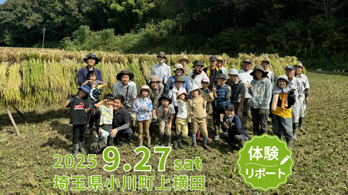 五感でたのしむ、実りの秋の稲刈り体験 in 小川町【体験リポート】