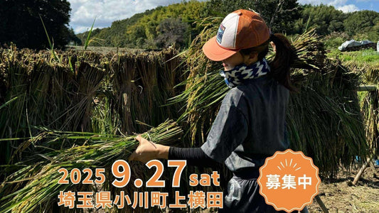 五感でたのしむ、実りの秋の稲刈り体験 in 小川町