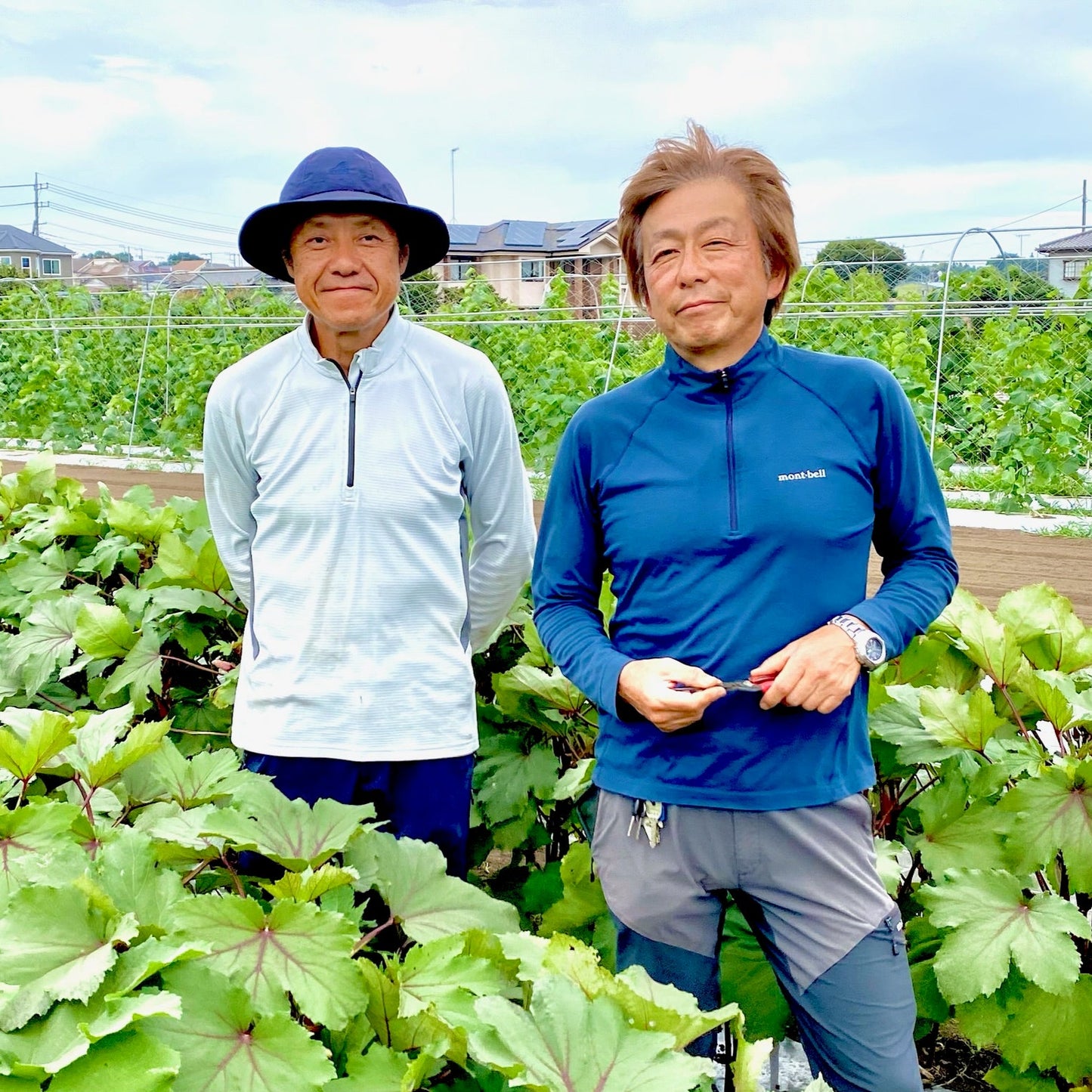 楽菜ファーム