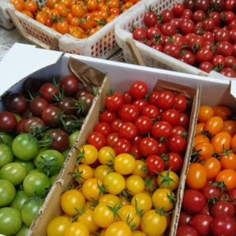 さいたま榎本農園