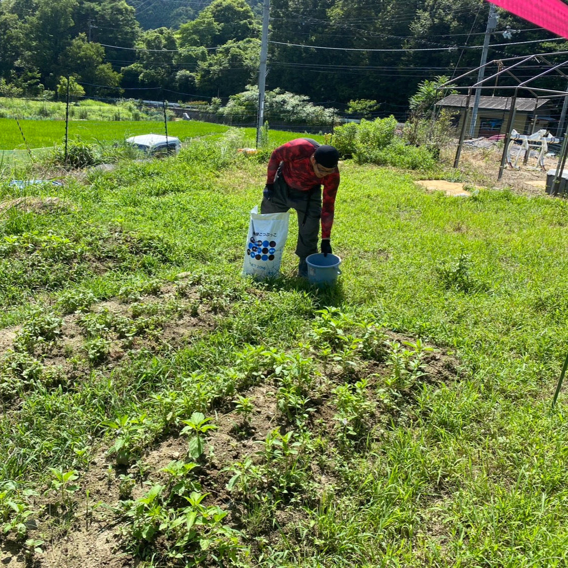 まっきー農園