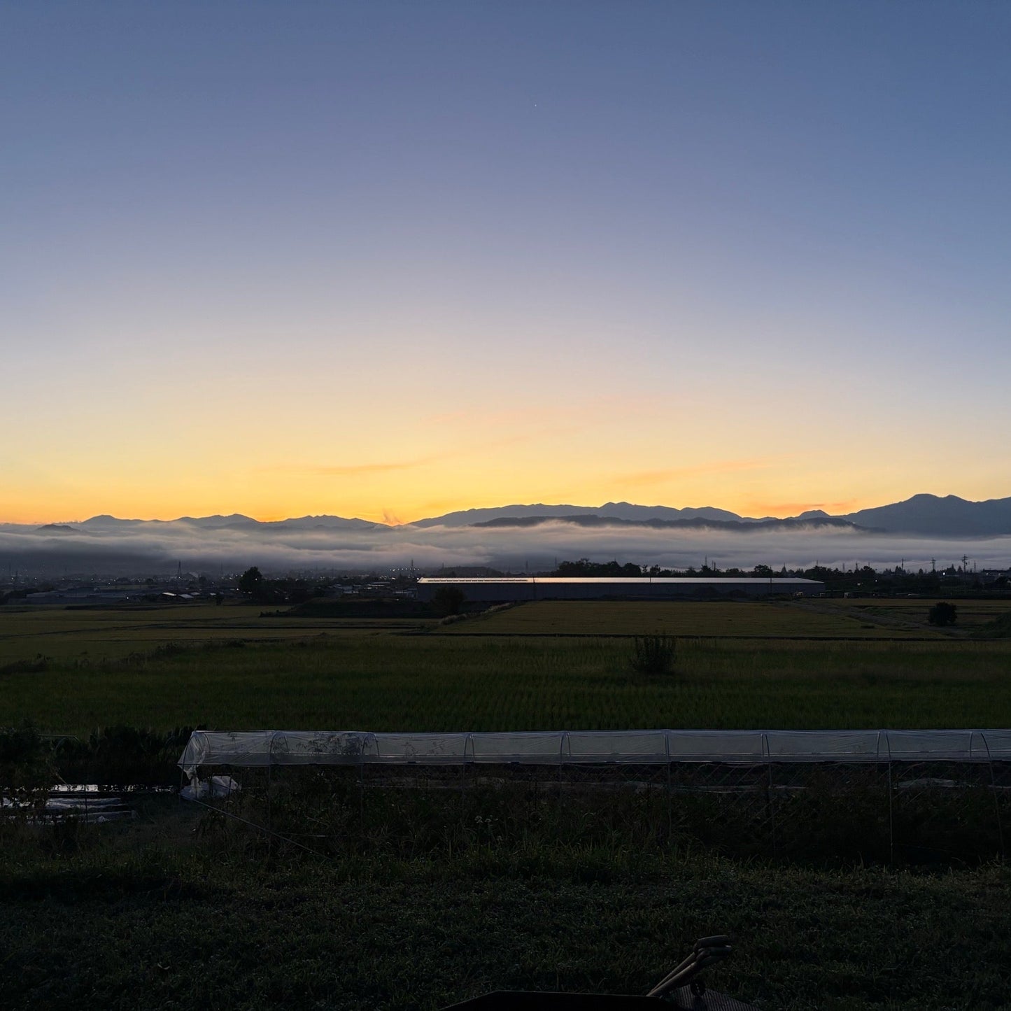 安曇野農園 RANA35