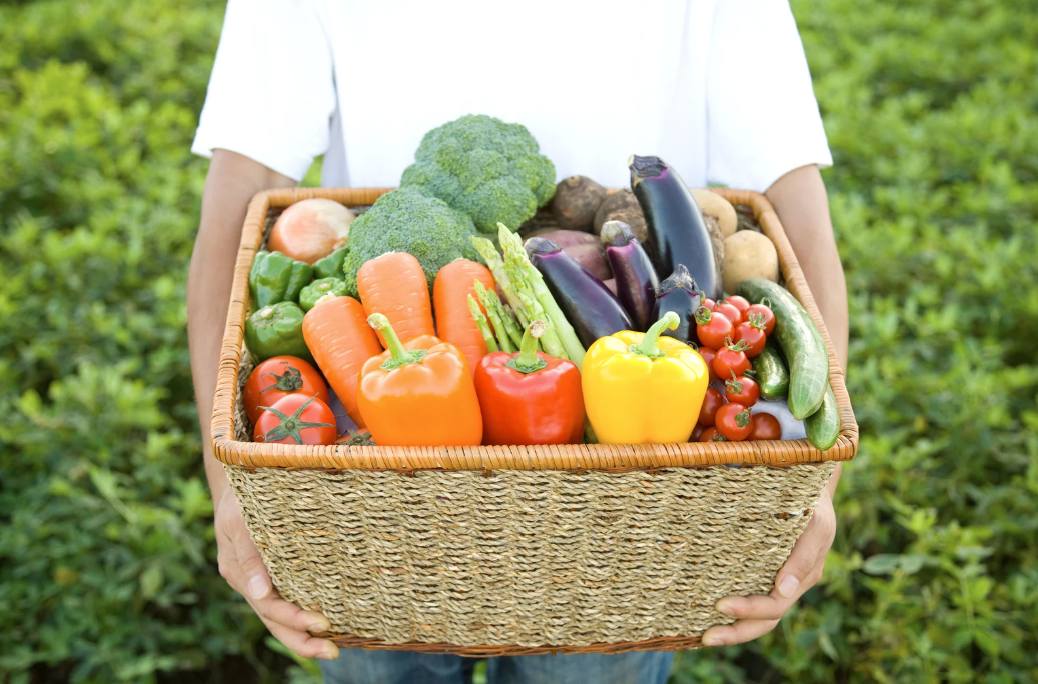 🍴MFDining🍴 旬のお野菜定期便(2025年12月発送分)