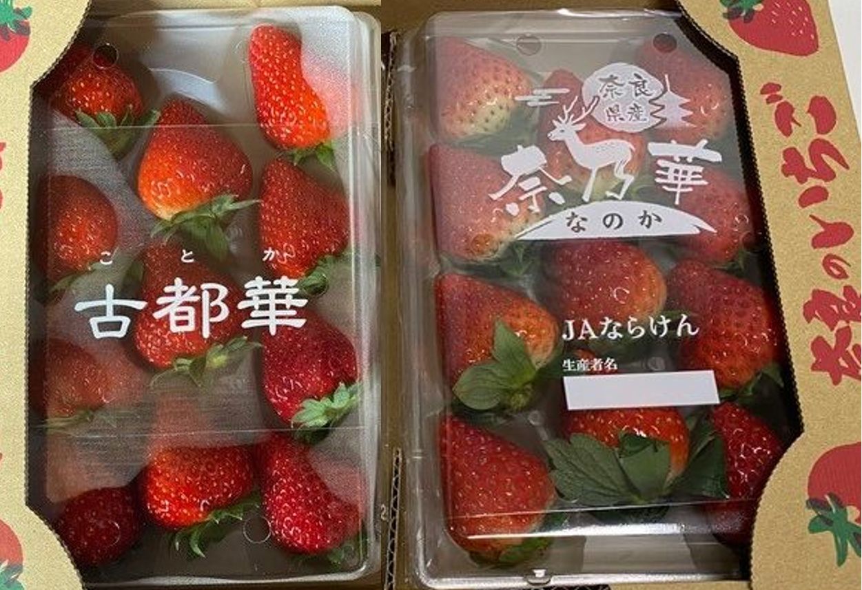 冬木農園