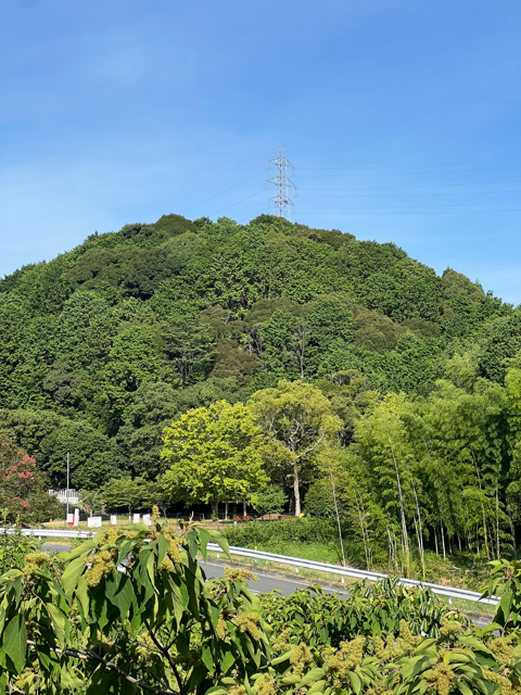 レストラン ルスティク