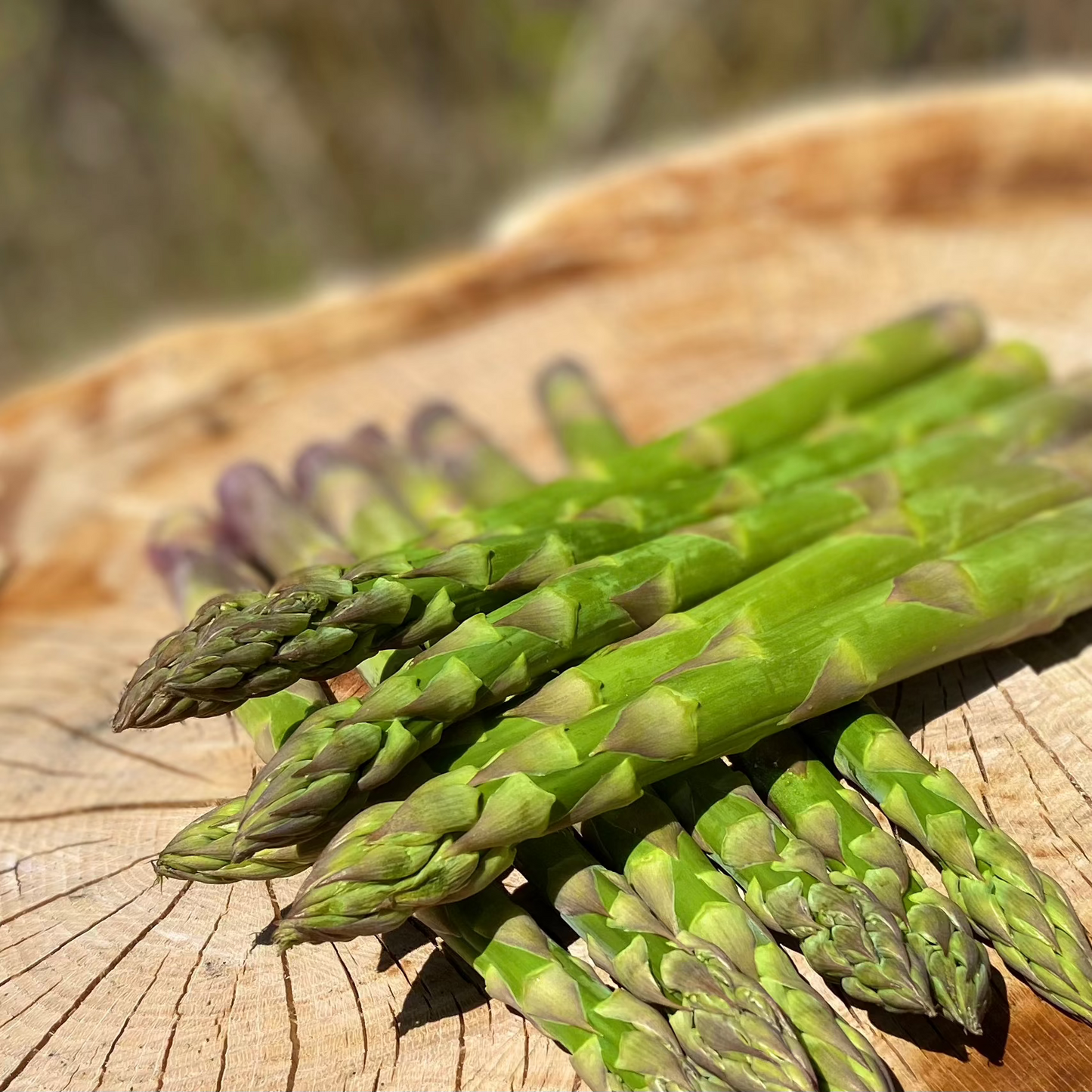 Farm&Firmかたもと