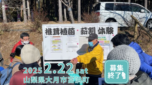 富士山を見ながらシイタケの菌打ちと薪割体験をしてみませんか？【募集終了】