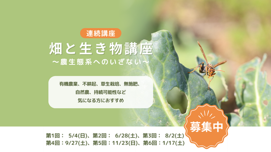「畑と生き物講座～農生態系へのいざない～」