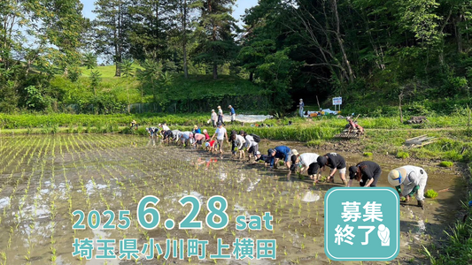 自然満喫！田植え体験・日本農業遺産・羽釜ご飯・ホタル鑑賞ツアー in小川町