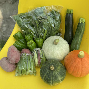 【旬の味覚を詰め合わせ！】ひらばやし農園の野菜セット（L）