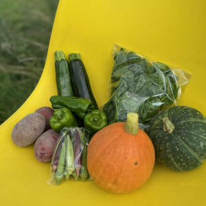 【旬の味覚を詰め合わせ！】ひらばやし農園の野菜セット（M）