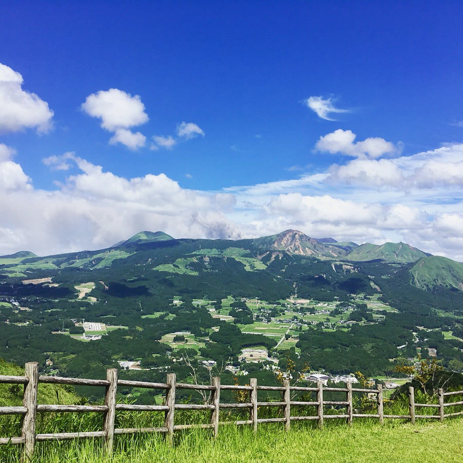 ことぶき農園