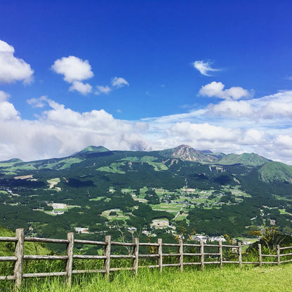 ことぶき農園