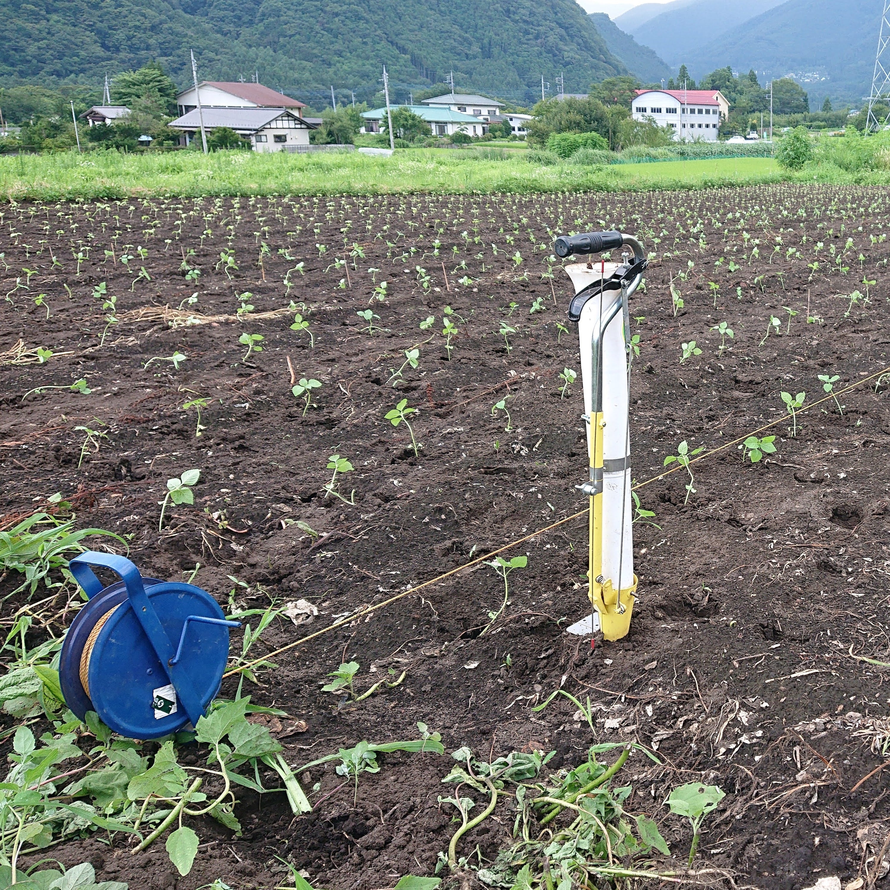mokomoko農園 こむろ農園 – COOPMYFARM