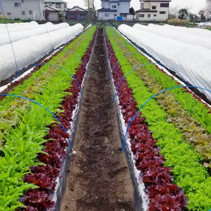 株式会社農楽