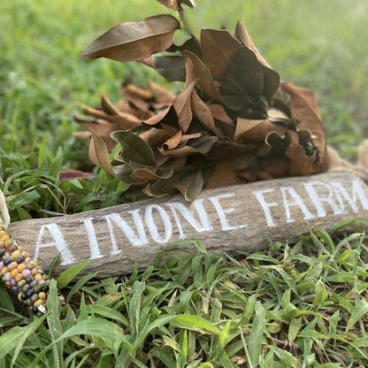 AINONEFARM