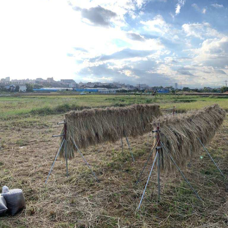 AINONEFARM