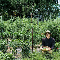 平野農園