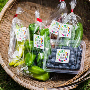 平野農園のわくわく野菜セット