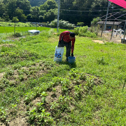まっきー農園