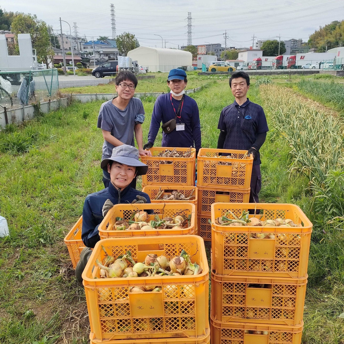 きたやま農園