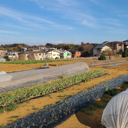 あきら農園