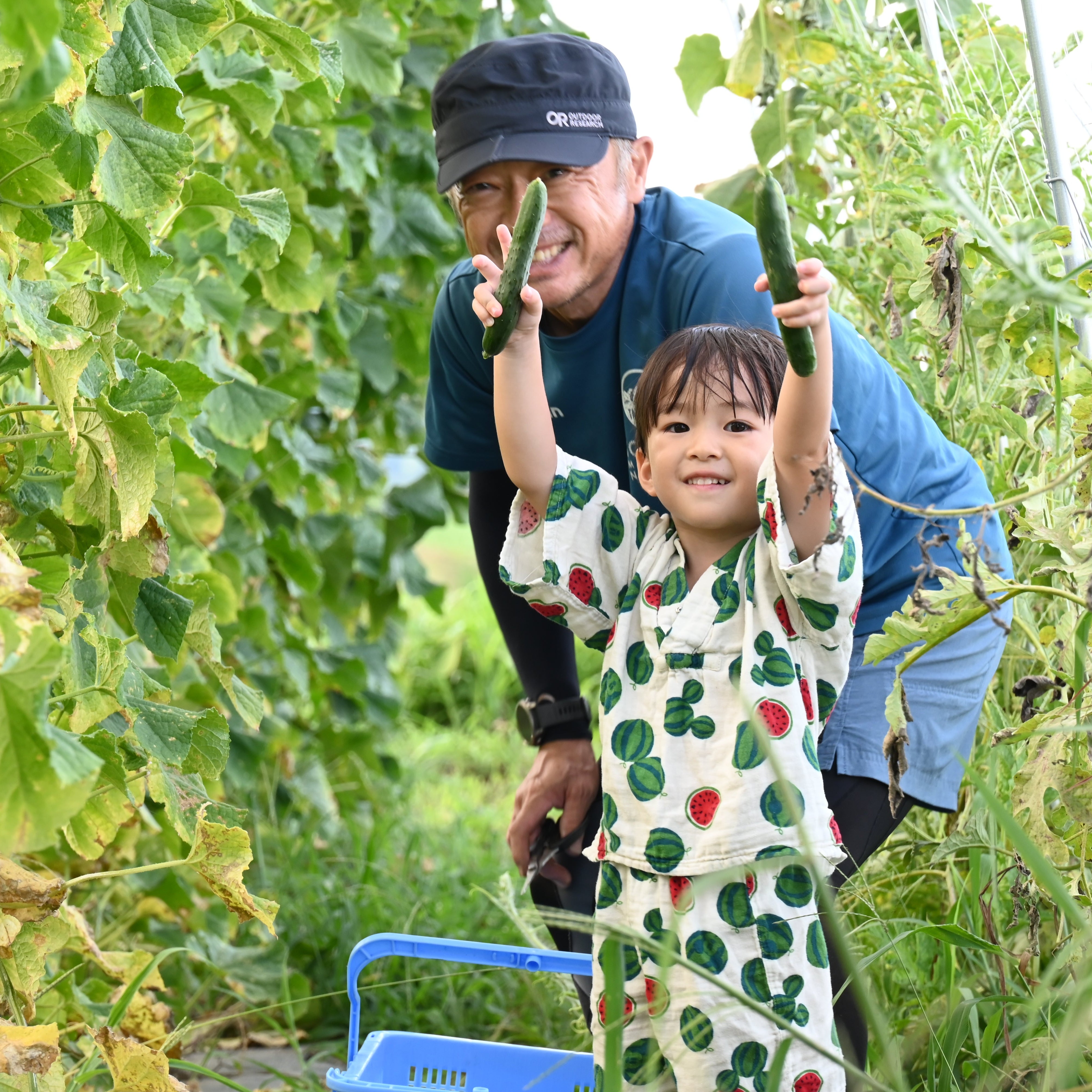 安曇野農園 RANA35 – COOPMYFARM