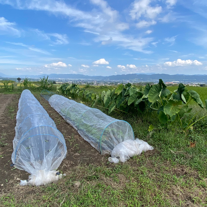 安曇野農園 RANA35