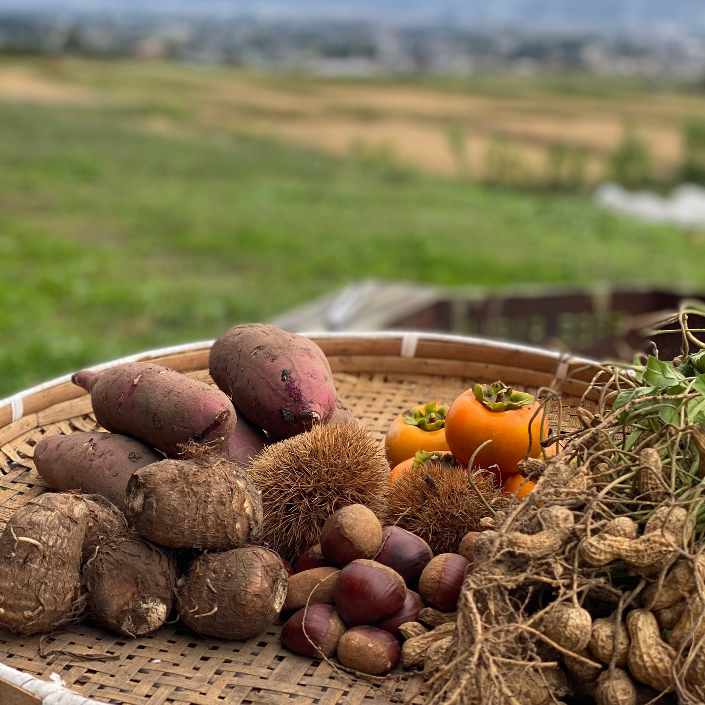 安曇野農園 RANA35