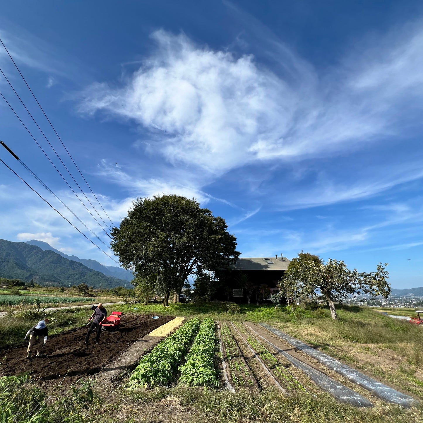 安曇野農園 RANA35