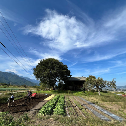 安曇野農園 RANA35