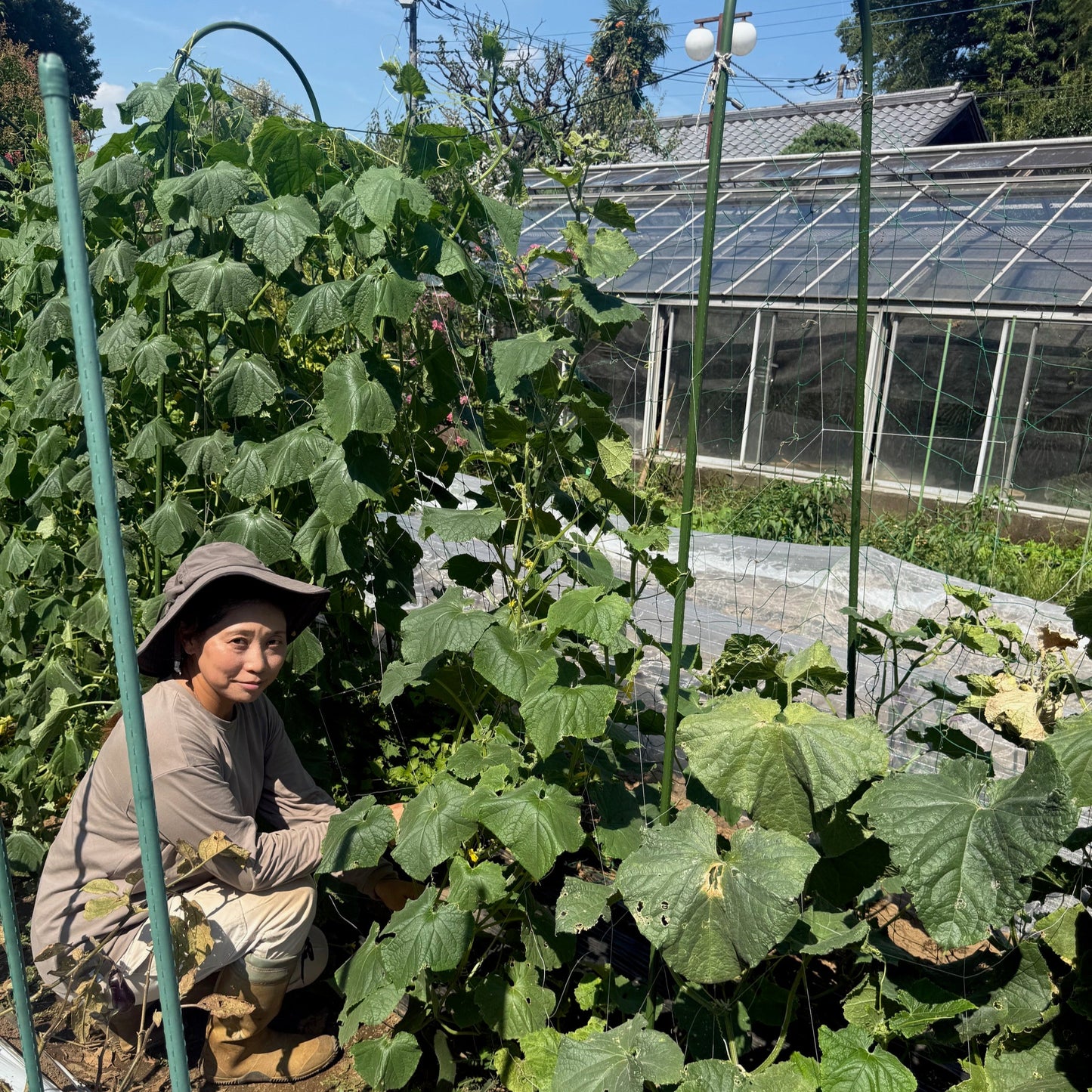 安行梅松園たかやまファーム