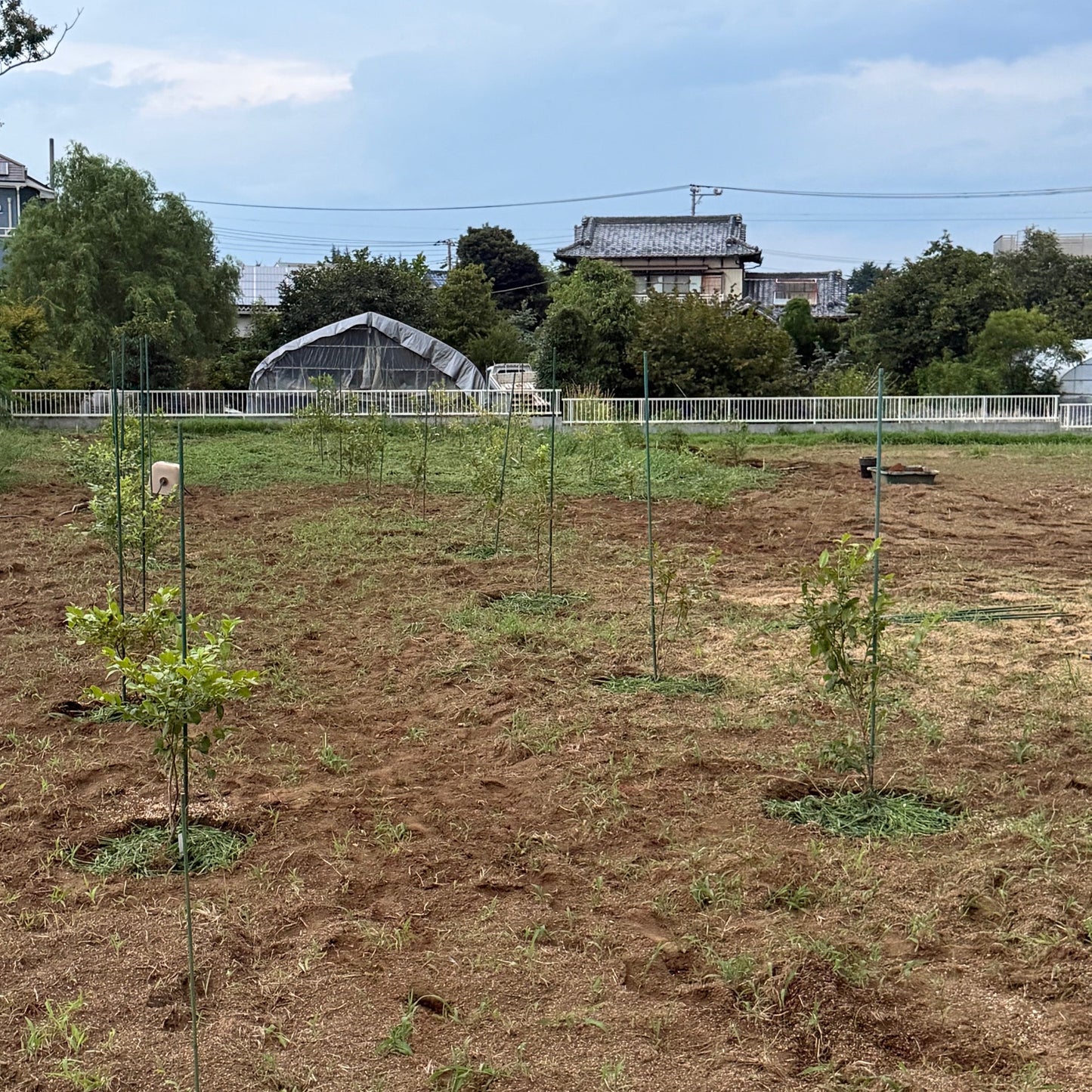 安行梅松園たかやまファーム