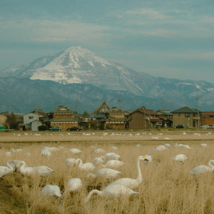 滋賀県×COOP MYFARM