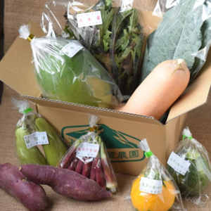 大和伝統野菜と旬の恵み8品目セット