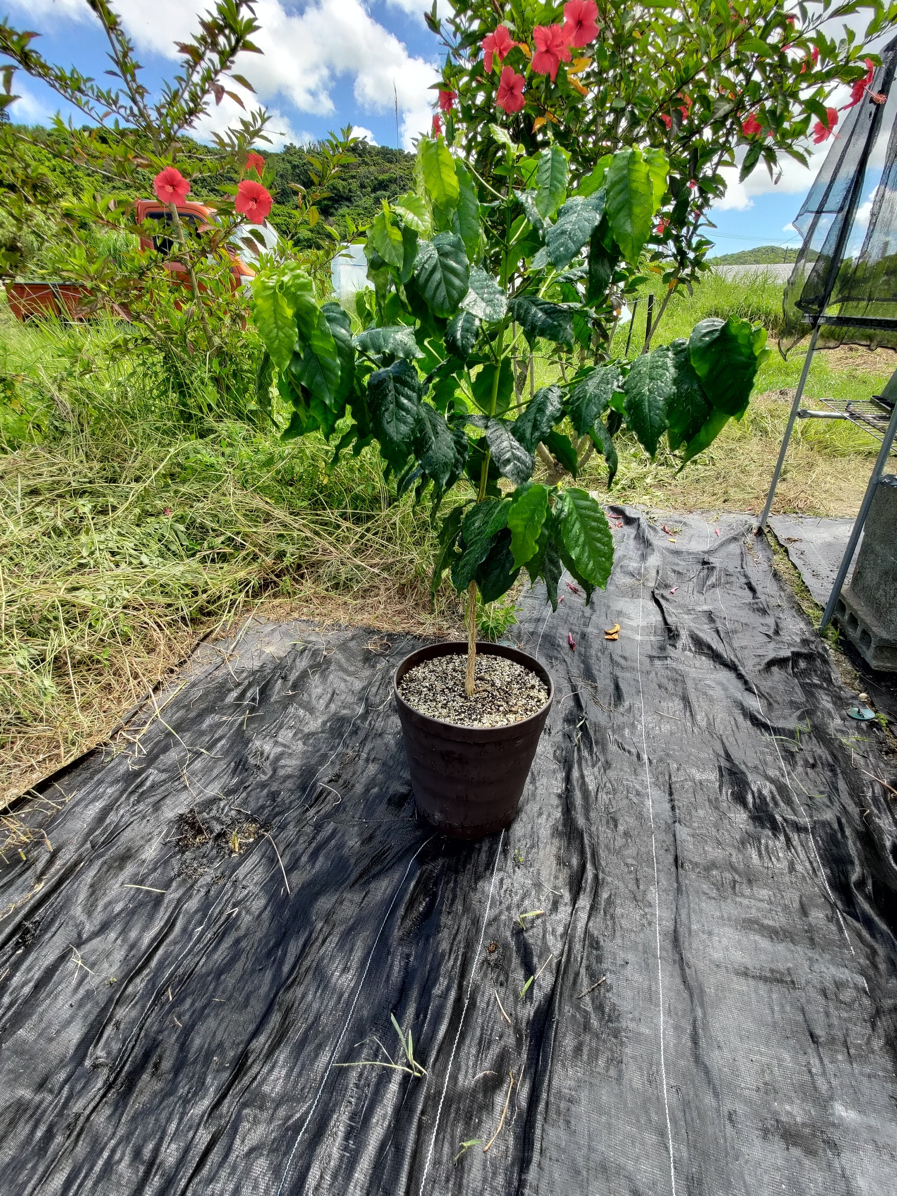 いそっぷ農園 – COOPMYFARM