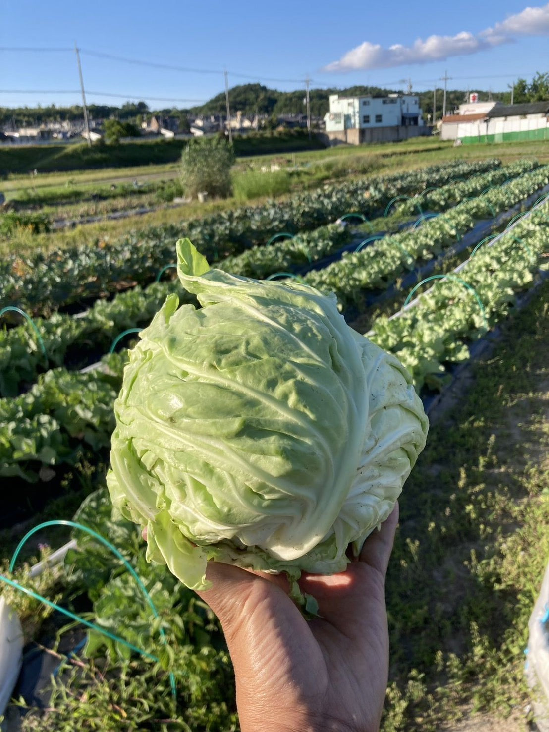 奥山・滋賀農場